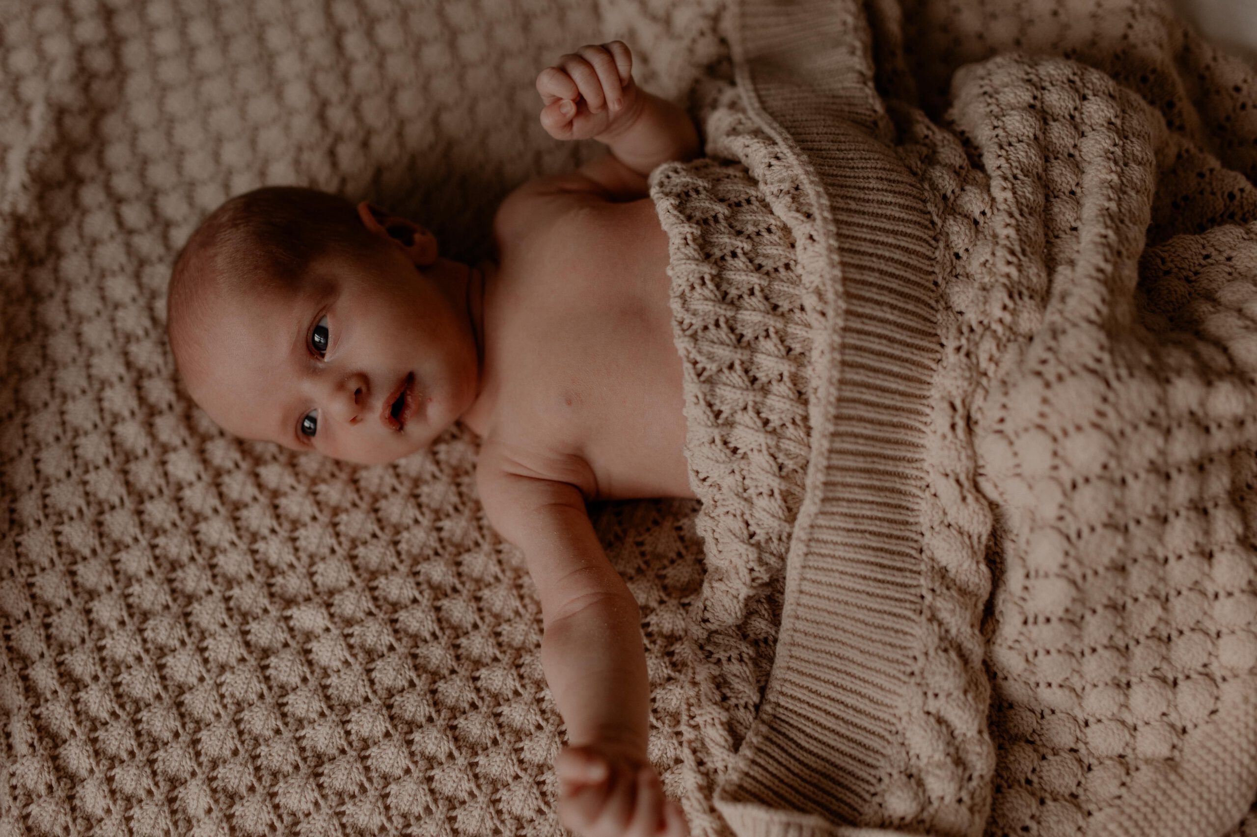 Newbornshoot